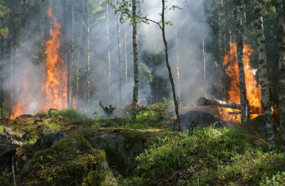 9-11 травня на Київщині зберігатиметься висока пожежна небезпека