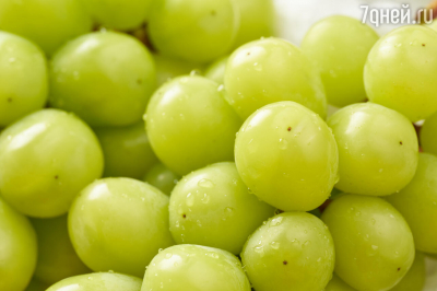 Как мыть виноград правильно &mdash; заморозка лучше спешки