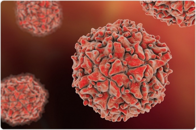 В Германии в сточных водах нашли вирус полиомиелита. Последний случай заболевания этой болезнью был зафиксирован в стране 30 лет назад